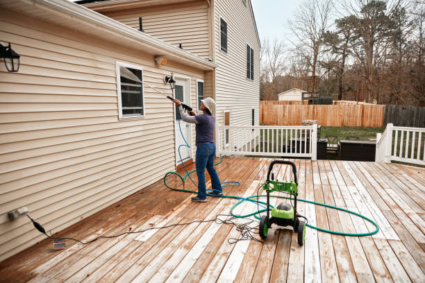 Best Deck Cleaning Services  in Fredonia, NY