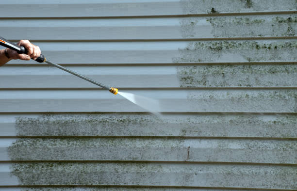 Best Residential Pressure Washing Services  in Fredonia, NY