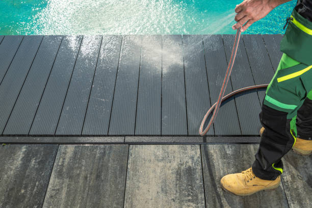 Best Roof Pressure Washing  in Fredonia, NY